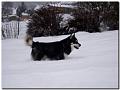080 Februar 2010 150